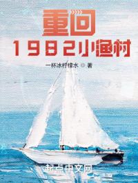 《重回1982小渔村》小说阅读